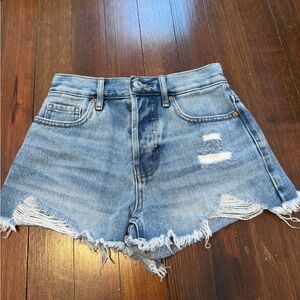 Pacsun Vintage High Rise Jean Shorts (Size 22)